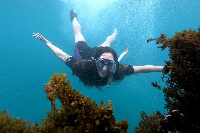 5 Days Excursion to Galapagos Islands With Snorkel and Volcanoes - Meeting and Pickup Information
