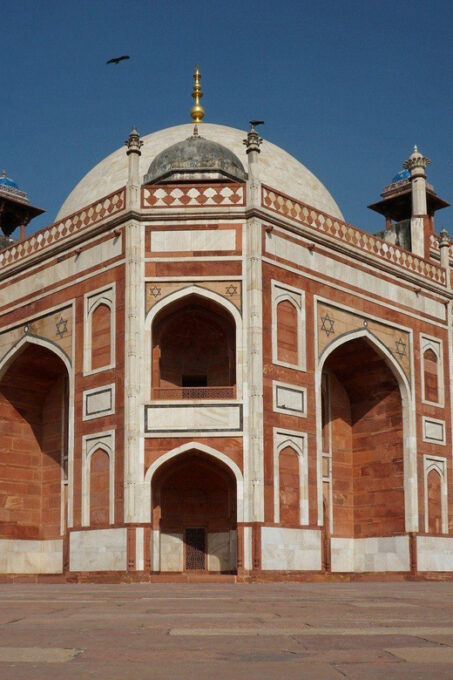 5-days Golden Triangle Tour: All-Inclusive Experience - Accessibility and Groups