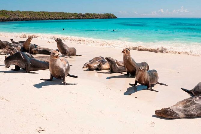 5 Days Guided Galapagos Adventure Trip - Good To Know