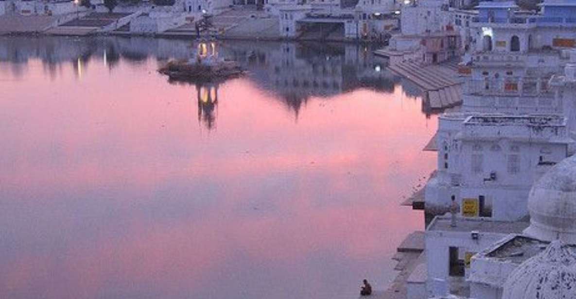 5 Days Luxury Private Tour by Car Jaipur Ranthambor Pushkar. - Key Points