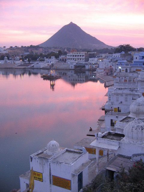 5 Days Luxury Private Tour by Car Jaipur Ranthambor Pushkar. - Accommodation Details