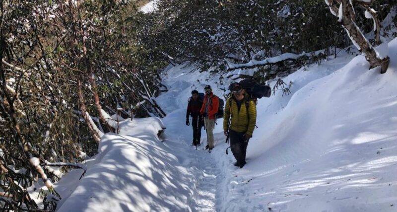 5 Days Mardi Himal Trek - Inclusions of the Trek