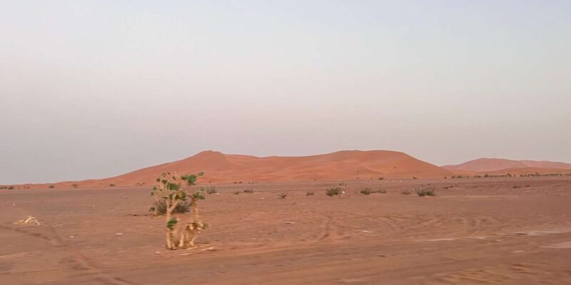 5-Days Merzouga Desert From Casablanca Highlight Trip - Good To Know