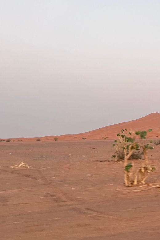 5-Days Merzouga Desert From Casablanca Highlight Trip - Discovering Marrakesh