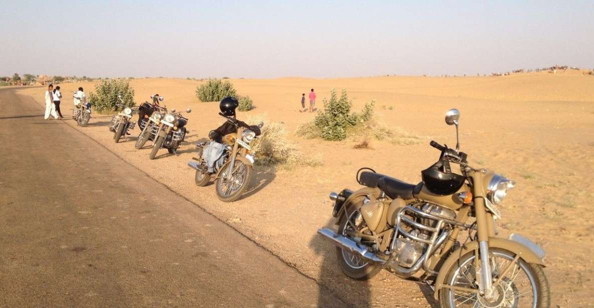 5 Days Motorbike Tour of Jaipur, Ranthambor and Pushkar. - Day 3: Ranthambore Wildlife Safari