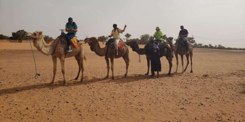 5 Days New Years Eve Morocco Via Desert From Marrakech - Pickup and Accommodation