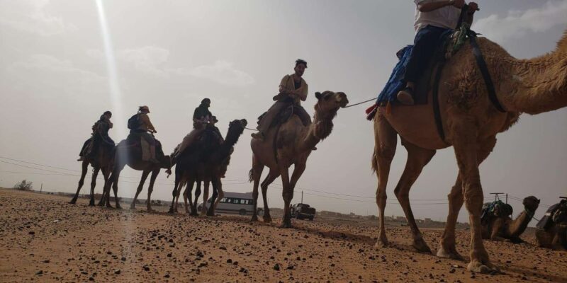 5 Days New Years Eve Morocco Via Desert From Marrakech - Expenses and Inclusions