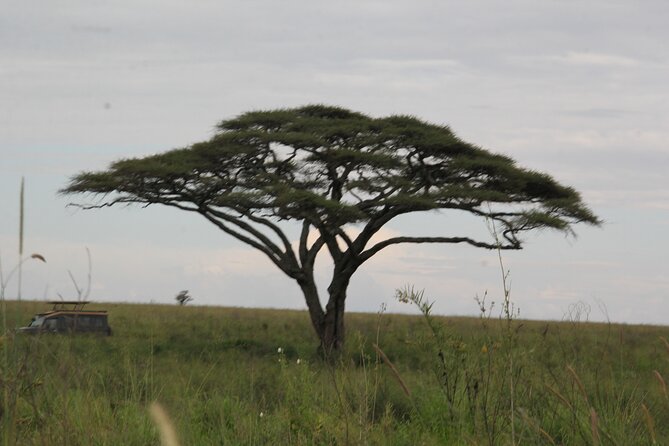 5 Days Nothern Tanzania Camping Safari - Packing and Preparation