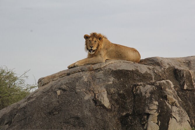 5 Days Nothern Tanzania Camping Safari - Frequently Asked Questions