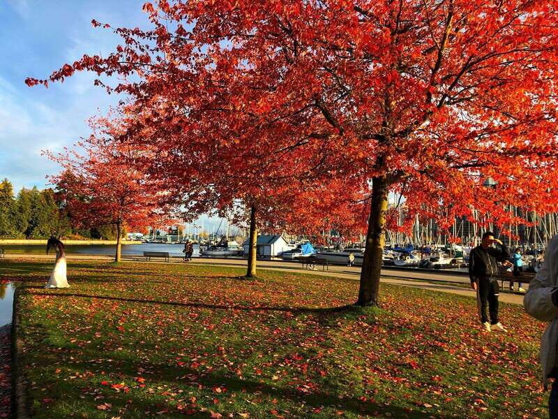 5 Days of Adventure in Vancouver  Activities-Only Tour - A Practical Guide to the 5-Day Vancouver Adventure