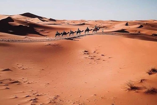 5 Days of Marrakech - Exploring the Medina