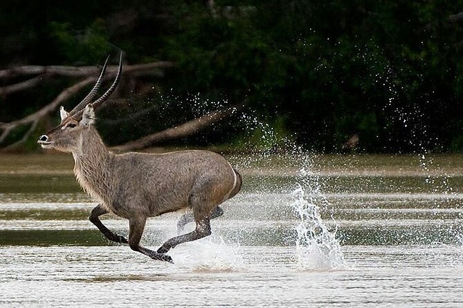 5-Days Selous Game Reserve and Mikumi National Park Tour - Inclusions and Amenities