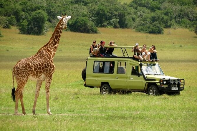 5 Days Serengeti Camping Safari - Pickup and Departure Details