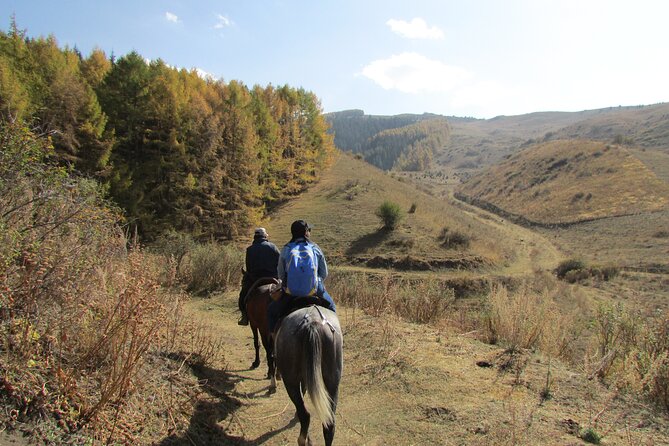 5 Days Sightseeing and Skiing Trip in Kyrgyzstan - Essential Traveler Information