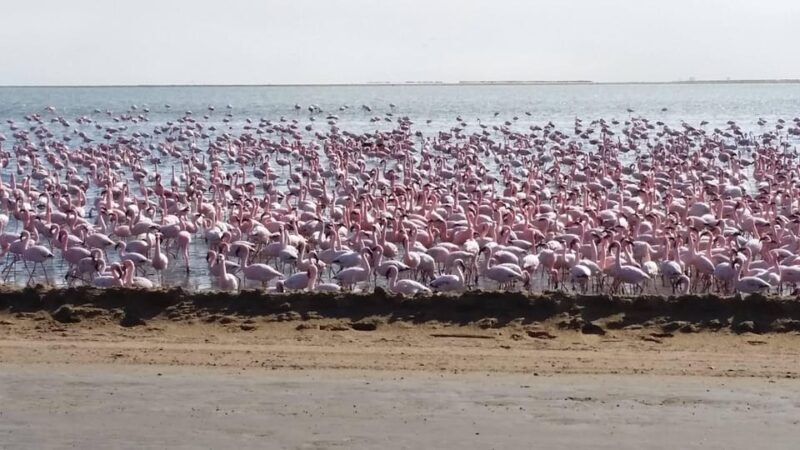 5 Days Sossusvlei and Swakopmund Tour - Shared Shuttle - Key Points