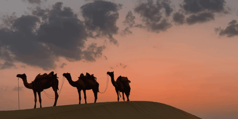 5 Days Tour From Marrakech to Casablanca via Merzouga & Fes - Crossing the High Atlas