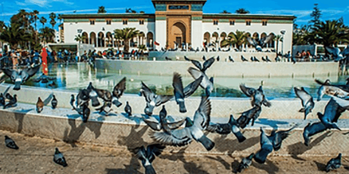 5 Days Tour From Tangier to Marrakech via Rabat, Casa & Fes - Marrakech Exploration