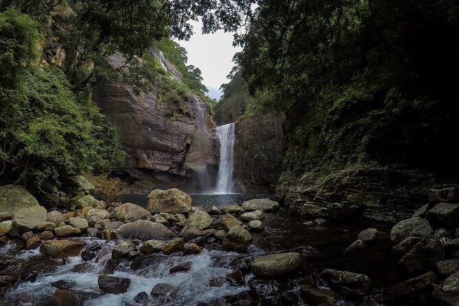 5 Days Tour In Sri Lanka - Reviews and Customer Feedback