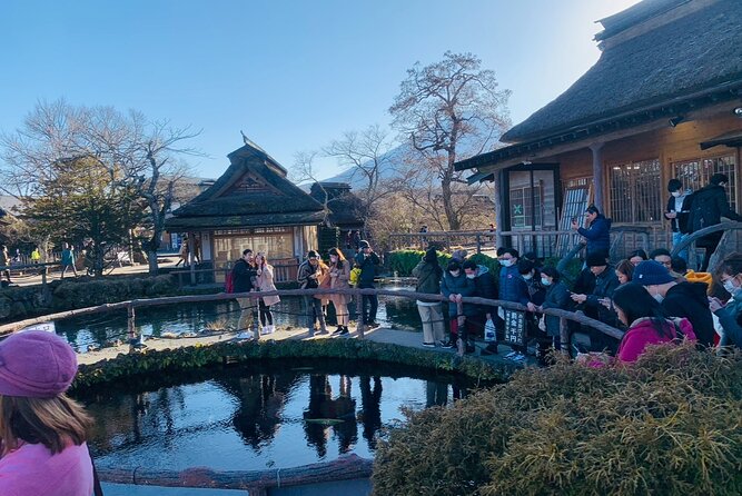 5 Days Tour Mt Fuji Tokyo Kyoto Osaka Nara by Car English Driver - Mt. Fuji