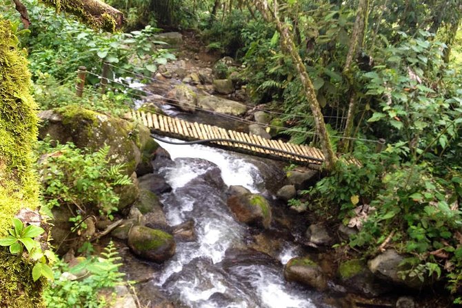 5 Days Traditional Coffee Zone - Hiking in the Cocora Valley