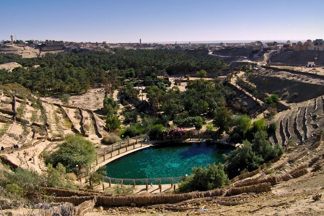 5 Days Tunisia Discovery Private Tour - Accommodations and Logistics