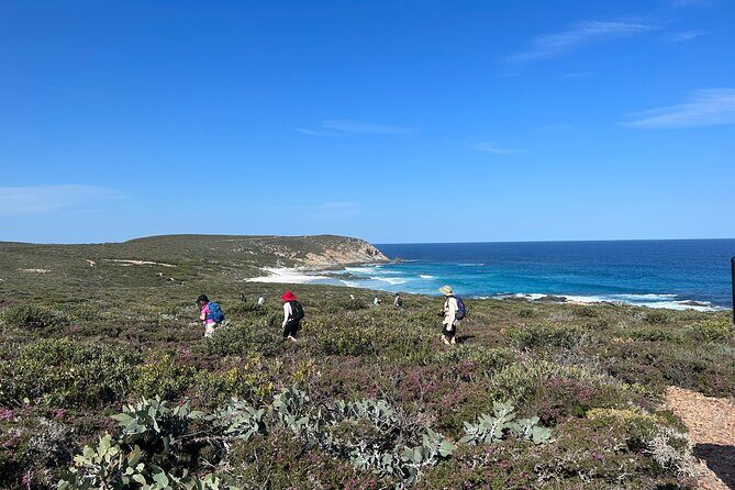 5 Days Walking with Wildflowers - Fitzgerald Biosphere - Final Thoughts