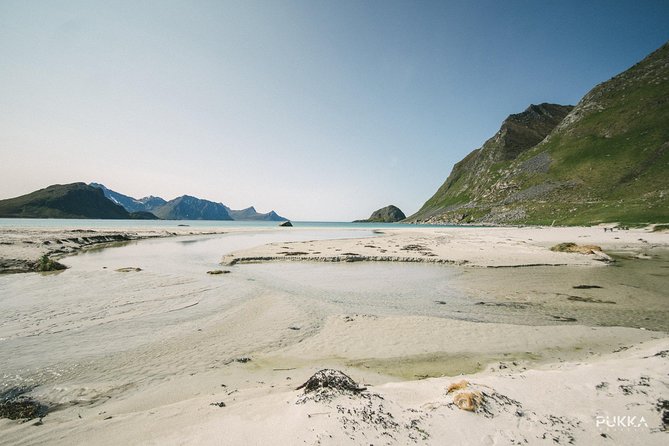 5 Highlights Of Lofoten From Svolvær - Encounter Local Wildlife