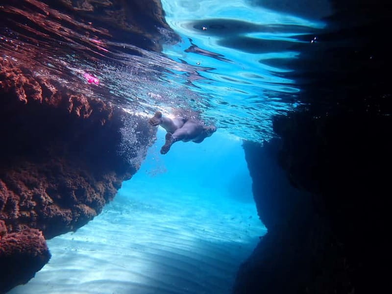 5-hour Cape Greco Caves kayaking + Snorkelling trip - Who Will Love This Tour?