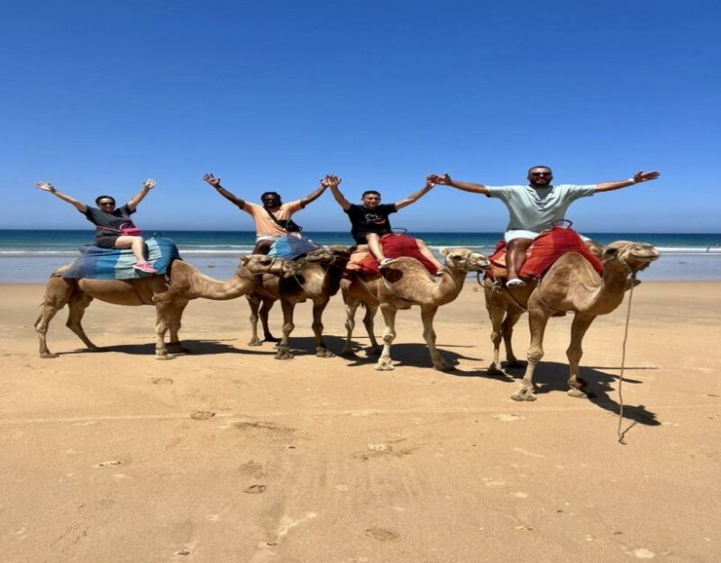 5 Hour Deluxe Private Guided Tour of Tangier - Exploring Tangiers Rich History