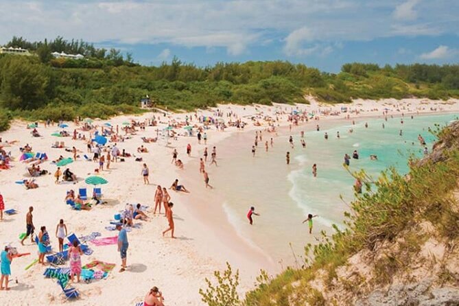 5 Hour Guided Private Tour of Bermuda - Customer Experiences and Reviews