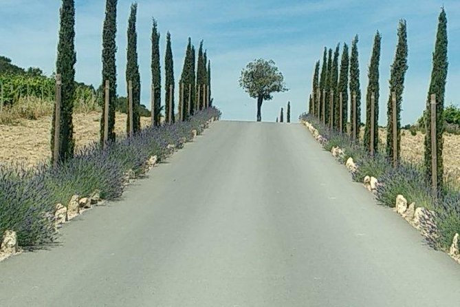 5-Hour Private Sightseeing Tour of the Provence From Marseille in Luxury Car - Additional Tips for Travelers