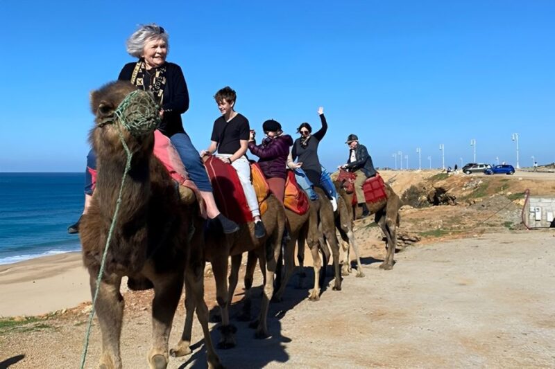 5 Hour Private Tangier Tour - Transportation and Comfort