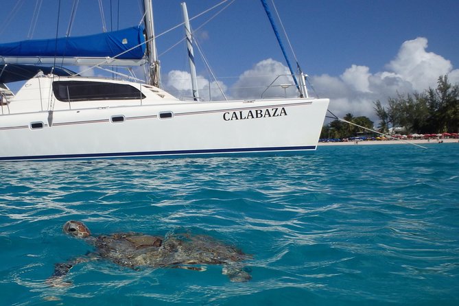 5-Hour Small-Group Catamaran Cruise From Bridgetown With Lunch - Group Size and Accessibility