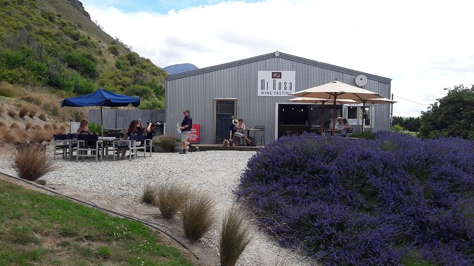 5-Hour Wine and Food Sampler Tour From Queenstown - Schedule and Requirements
