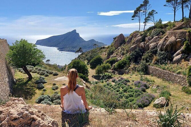 5 hours Mallorca hiking tour in Castell d Alaro - Analyzing the Value and Who Will Love This Tour