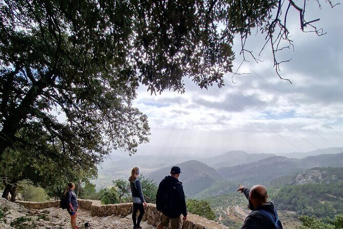 5 hours Mallorca hiking tour in Castell d Alaro - The Sum Up