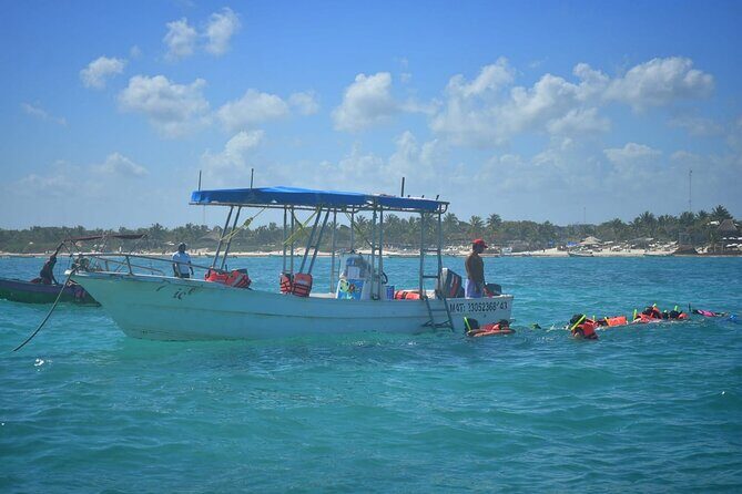 5 Hours Mayan Snorkeling Experience in Tulum - The Overall Value