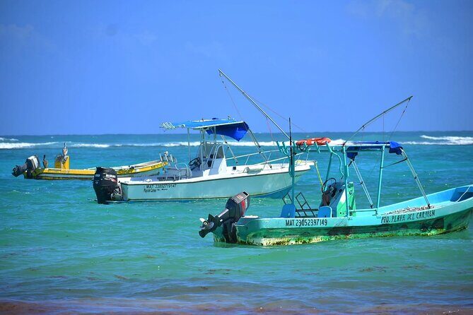 5 Hours Mayan Snorkeling Experience in Tulum - Who Should Consider This Tour?