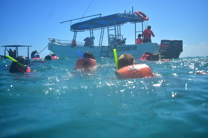5 Hours Mayan Snorkeling Experience in Tulum - The Sum Up