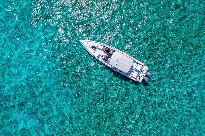 5 Hours Pigs and Turtles with Beach Stop in Bahamas - A Complete Breakdown of the Tour Experience