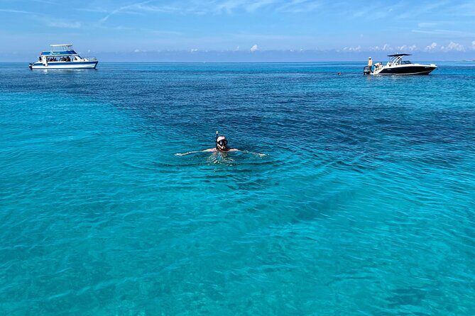 5 Hours Pigs and Turtles with Beach Stop in Bahamas - What’s Included & What You Should Know