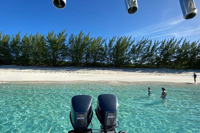 5 Hours Pigs and Turtles with Beach Stop in Bahamas - FAQ