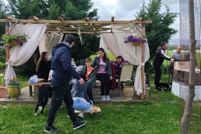 5 Hours Private Cooking Classes in Langadas Thessalonikis - Frequently Asked Questions