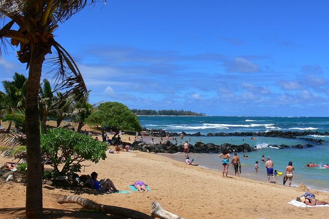 5 Hrs. Kauai Eastside Small Group Tour. Short & Sweet - Accessibility Information