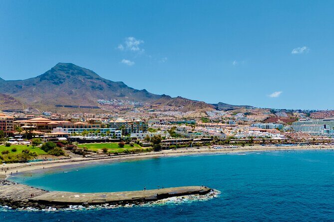 5 hrs. Watching and listening whales and dolphins visiting Los Gigantes - Is It Worth the Price?