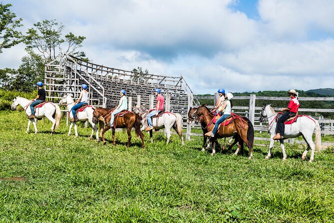 5-In-1 Rincon De La Vieja National Park Adventure Day Tour - Logistics and Pickup