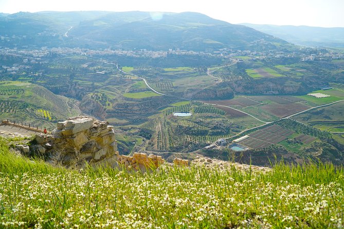 5-Night Private Magic Jordan Tour: Dead Sea, Mount Nebo, Amman, and Jerash - Accommodations and Meals