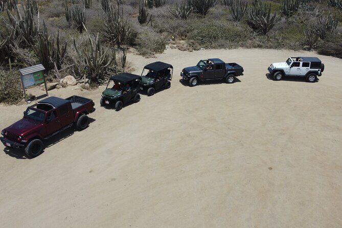 5 seat UTV Rental - Real-World Experiences and Reviews