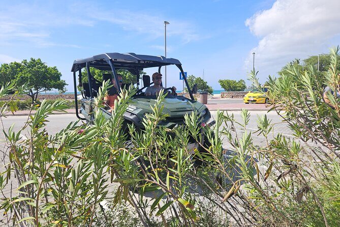 5-seater UTV 4 Hours Island tour in Aruba - A Closer Look at the Itinerary