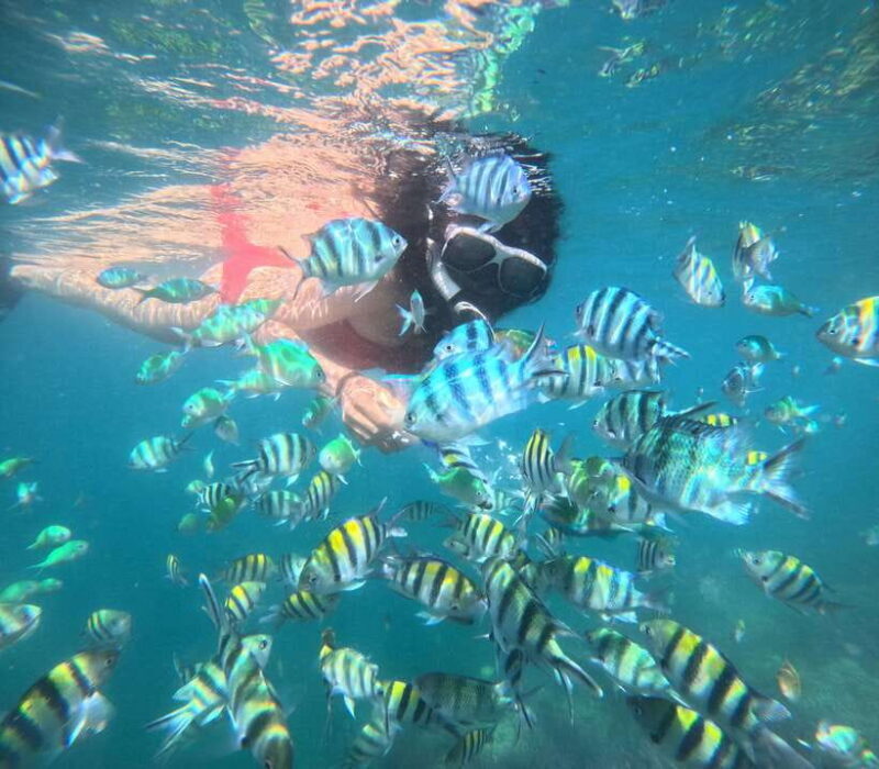 5 Secret Gili Boat Trip & Snorkeling in Southwest Of Lombok - FAQ